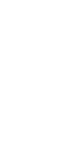 why-ev-vector